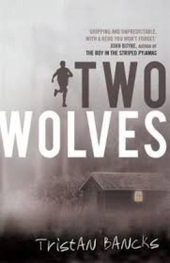 Mitchell and Matilda both recommend TWO WOLVES by Tristan Bancks.