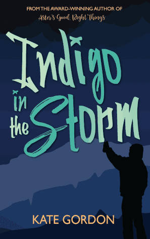 Indigo in the Storm by Kate Gordon. The cover is dark blue with the silhouette of a child with one arm raised.